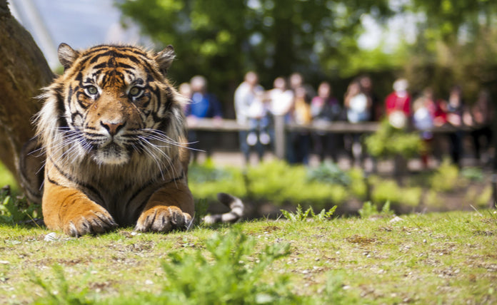Burgers' Zoo - afbeelding 5
