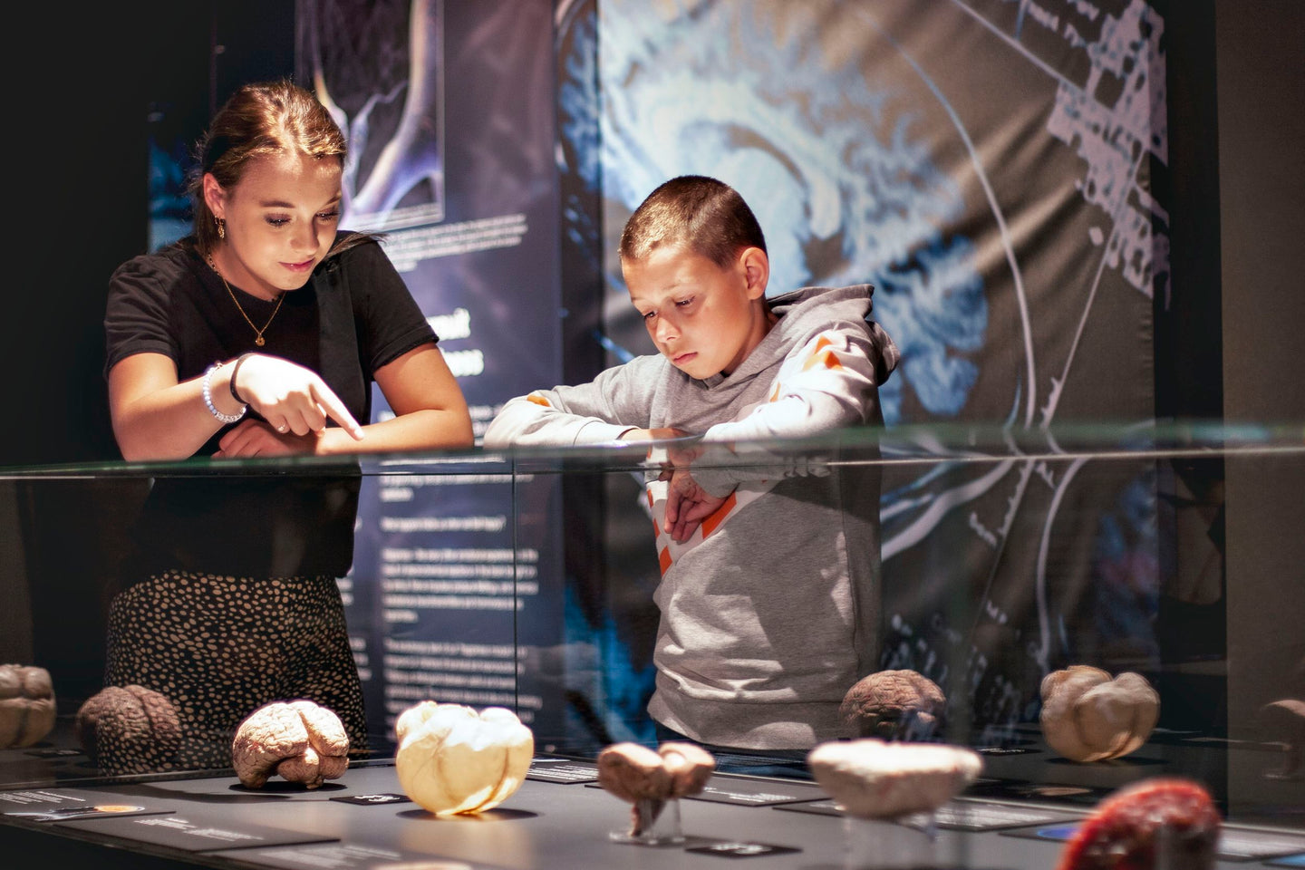 body-worlds - afbeelding 2