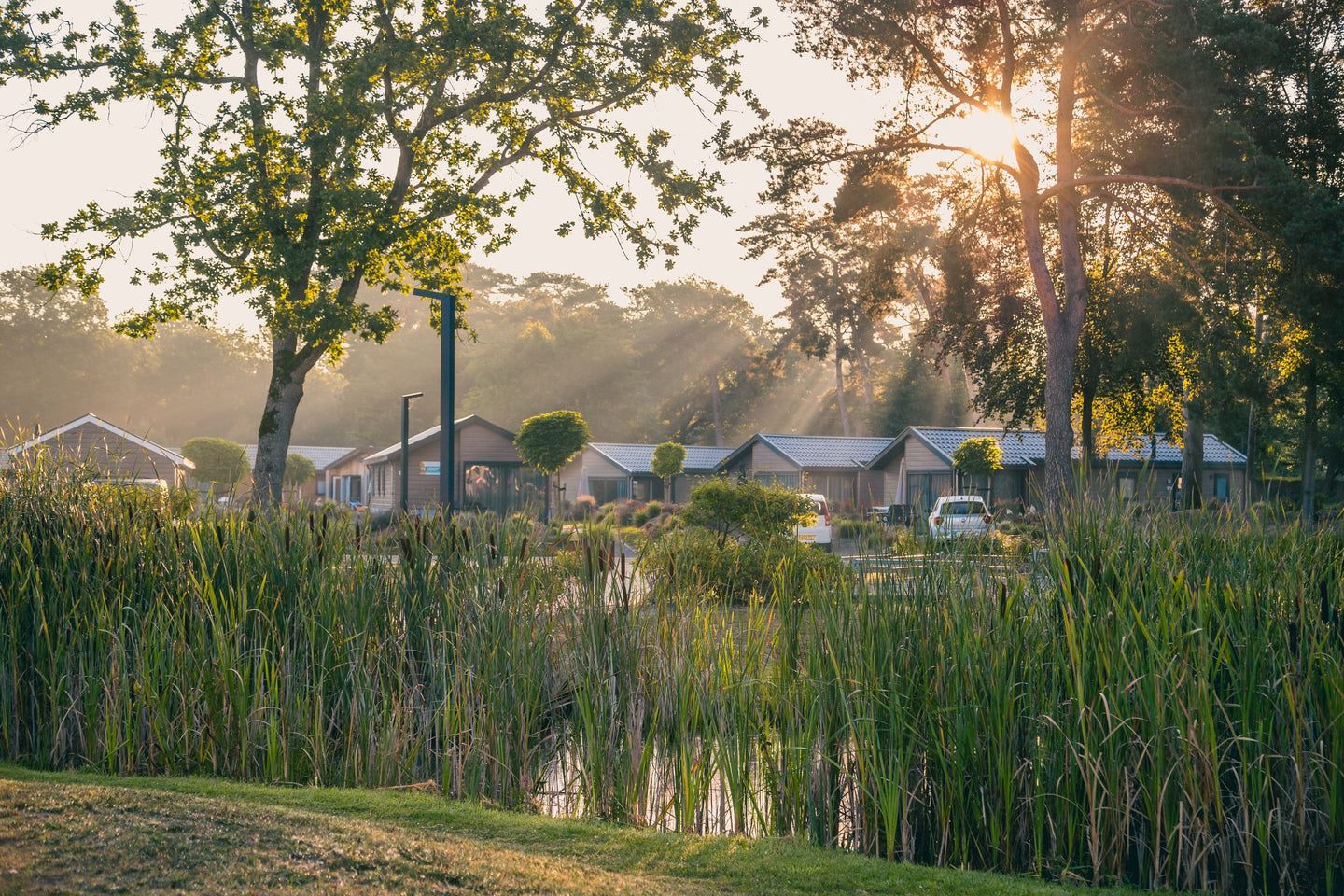 EuroParcs Zilverstrand - afbeelding 5